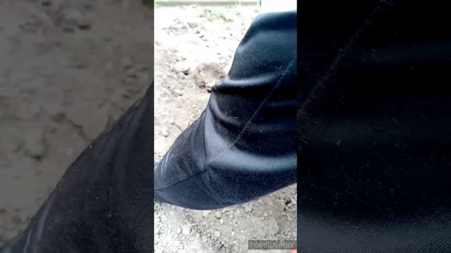 05.05.2020 Сажаем экзотику карамбола , гранаты , киви смотреть онлайн