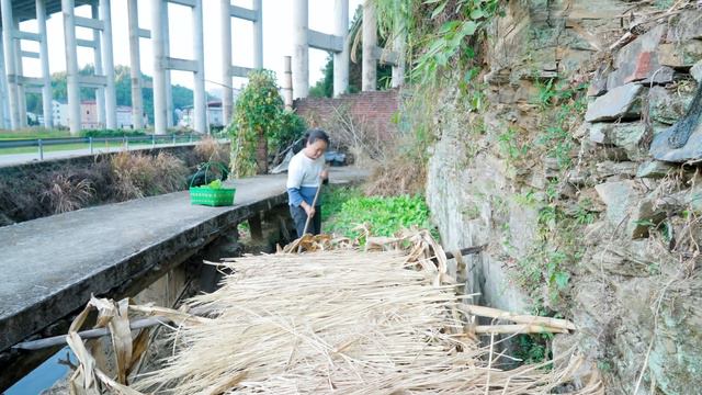 孩子很喜歡小猫，今天給它加餐，看看買什麼東西 | Delicious food for kittens! Kittens love it! смотреть онлайн