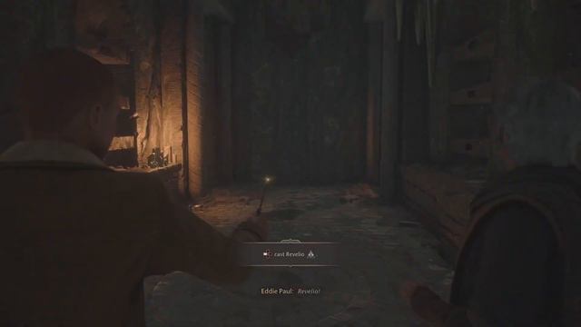 Hogwarts Legacy - Platinum or Pass? (SPOILER FREE) смотреть онлайн
