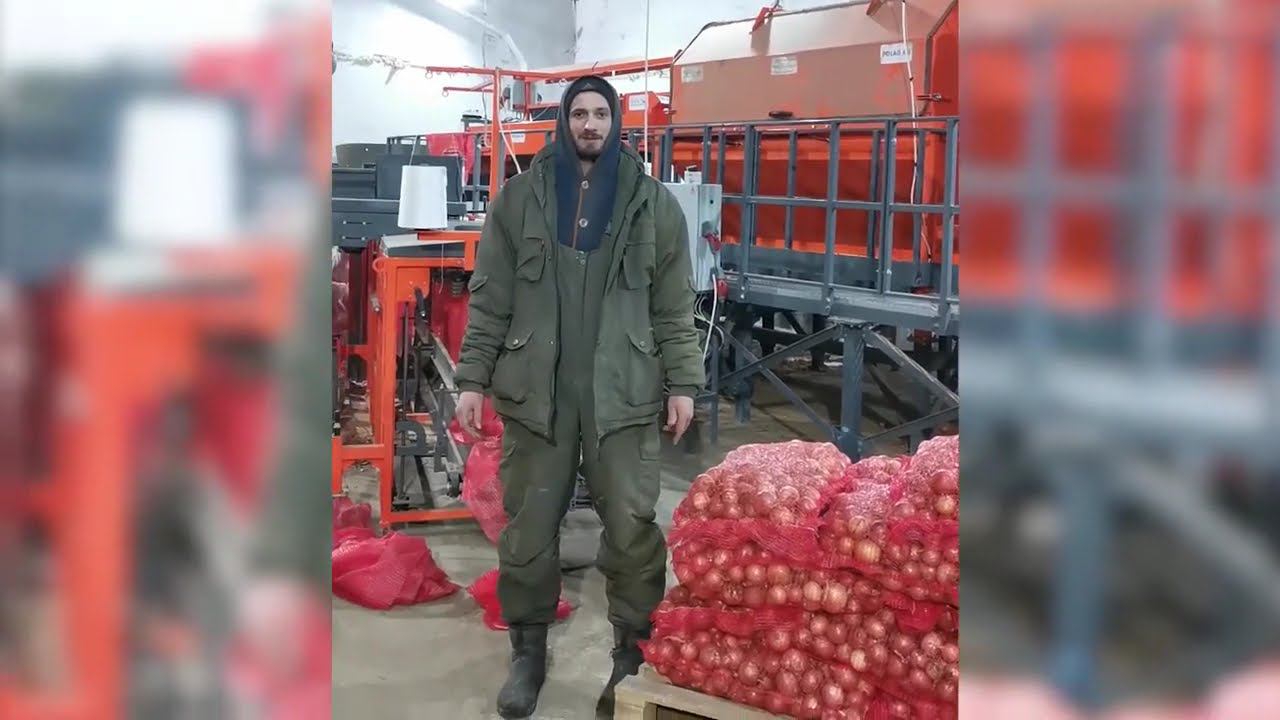 Линия подготовки лука: Агро Пром Холдинг о сотрудничестве с компанией "Агро Прогресс" смотреть онлайн