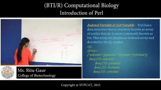 (BTI/R) Computational Biology смотреть онлайн