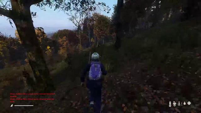 DayZ Берег, лес и ещё раз лес смотреть онлайн
