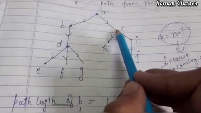 Tree Terminology |Parent | Child | siblings | path length | level of a node | depth of tree смотреть онлайн