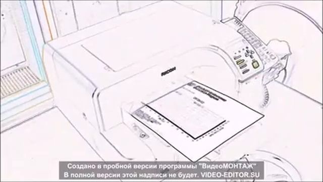 Daytona мечта альфавода смотреть онлайн