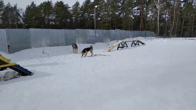 ФИБИ, Фанта, Бай смотреть онлайн