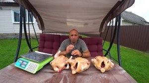 Каких бройлеров выбрать Кобб-500 или Росс-308