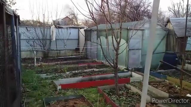 Куры несутся и зимой и летом/Два Незаменимых Средства для Яйценоскости и Иммунитета Кур Несушек смотреть онлайн