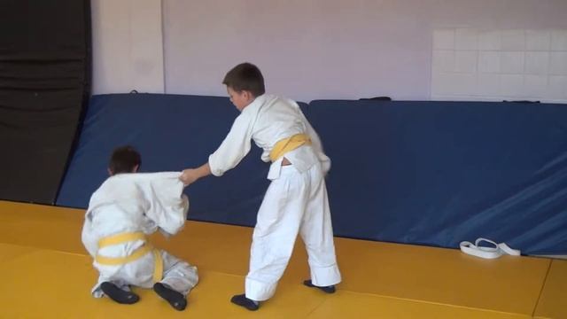 Шумак -Наухацкий. День борьбы 10 октября 2013. Дзюдо. смотреть онлайн