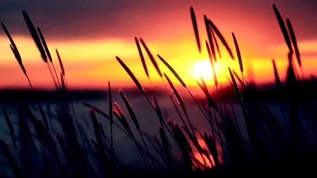 Катя Чехова - Я не с тобой (Jamix Project Electro Freestyle Remix) смотреть онлайн