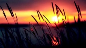 Катя Чехова - Я не с тобой (Jamix Project Electro Freestyle Remix)