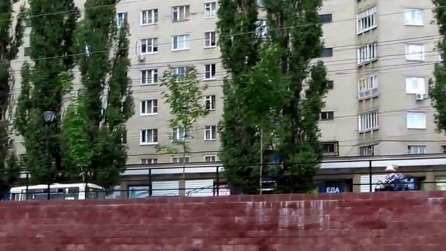10 - лебеди плавают смотреть онлайн
