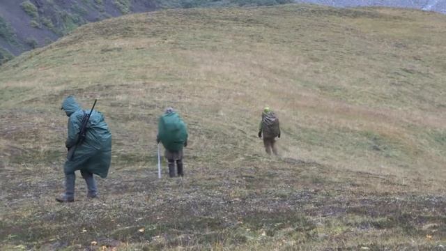 Caccia alla Dall Sheep con Leica 2018 смотреть онлайн