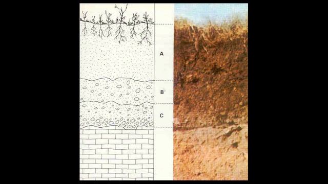 Почвоведение смотреть онлайн