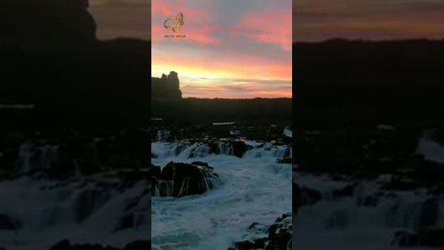 Шейх Мишари Рашид сура-87 Аль-Аля (Высочайший) #kuran#zakirnaik #kuran#sunnah#коран