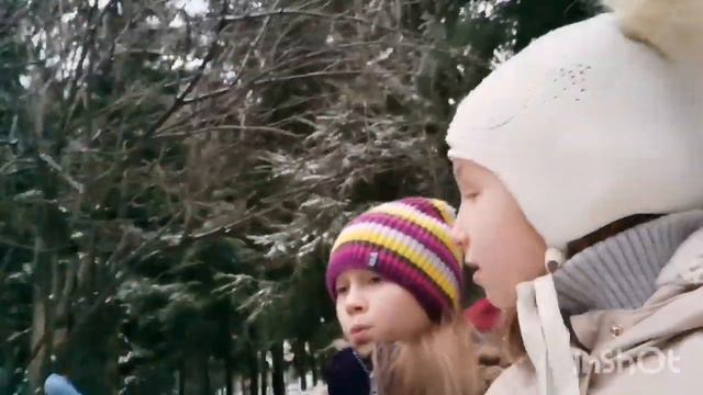 Сериал:Зачарованный лес/2 серия смотреть онлайн