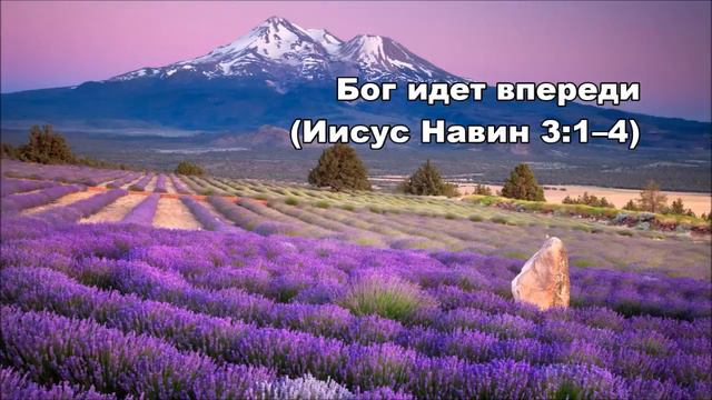 Тихое время с Живой Жизнью: 16.07.2016 (Иисус Навин 3:1–8) смотреть онлайн