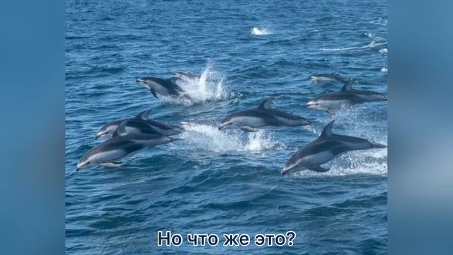 СТИХОТВОРЕНИЕ «Луч рассвета»Читает автор Селена Дарбо смотреть онлайн
