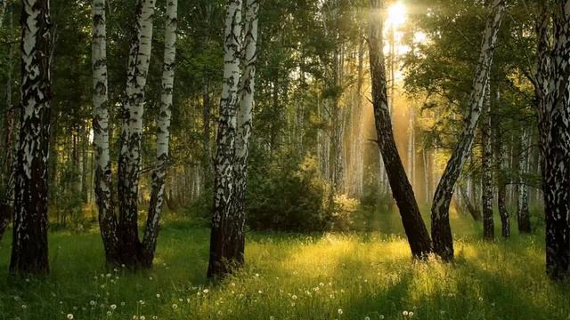 Диалог с подсознанием смотреть онлайн