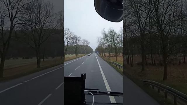 Окрестности Свебодзин.