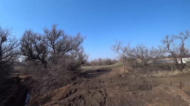 ВЛОГ #16 Мангал ПАРОВОЗ из газового баллона Новости с водоёма ГОТОВИМ РАКОЛОВКИ смотреть онлайн