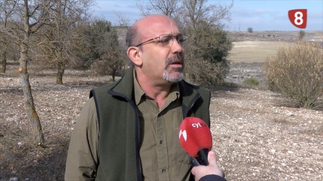 TRUFAS ALDEASOÑA REPOR (20-02-2017) смотреть онлайн