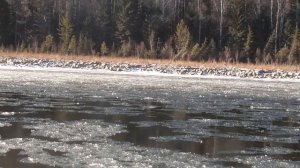 Ловля хариуса по шуге осенью. Поездка в верховья Уды. 1-2день.