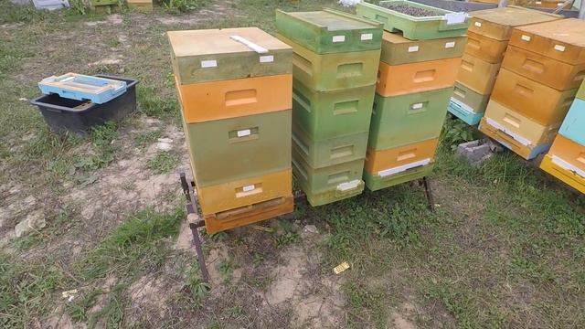 Зимовка на глухом дне в улье ППУ Нижегородец (эксперимент). смотреть онлайн