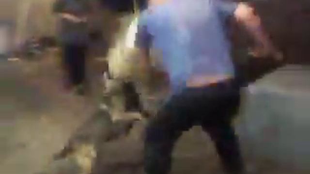 THORN FREE ATTACK INSIDE.MOV смотреть онлайн