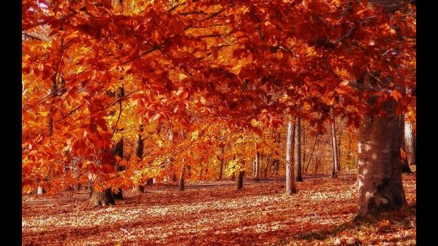 Осень - загадка... смотреть онлайн