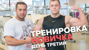 Тренировка для новичка:  Ноги и Плечи (День 3). Сергей Югай