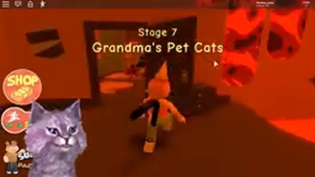 БАБУЛЯ ЧИНИТ ДОМ В РОБЛОКС! ПОБЕГ ОТ БАБУШКИ ОББИ roblox obby granny's home смотреть онлайн