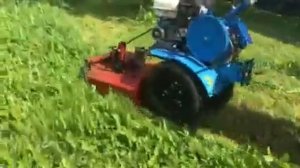 косилка терминатор на Неве ,   в действии