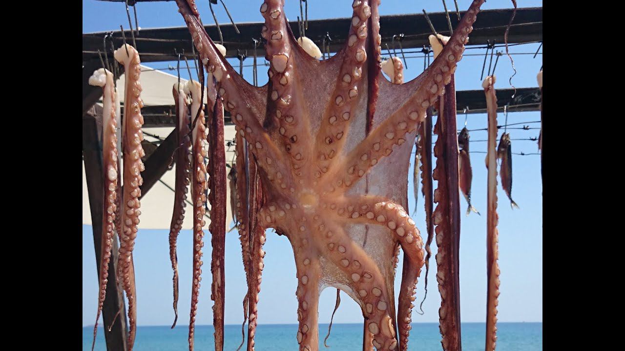 Как добраться до острова Тасос. смотреть онлайн