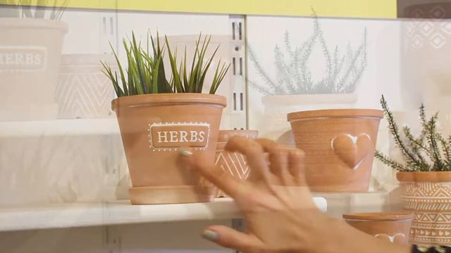 Sass & Belle New Planter Additions for 2021 | Affordable Gifts & Homeware смотреть онлайн