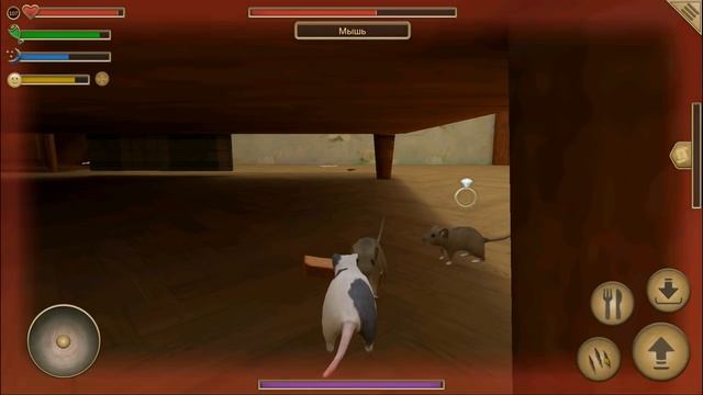СИМУЛЯТОР МЫШИ #26 ОХОТИМСЯ на КОТА купили ПРИЗРАК СКИН в Mouse Simulator смотреть онлайн
