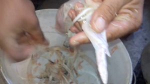 Как быстро ощипать и разделать перепелку.