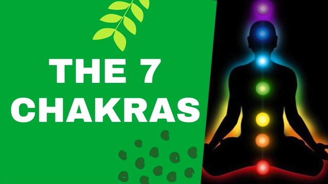The 7 Chakras LAM VAM RAM YAM HAM OM #chakras #sevenchakras #meditation смотреть онлайн