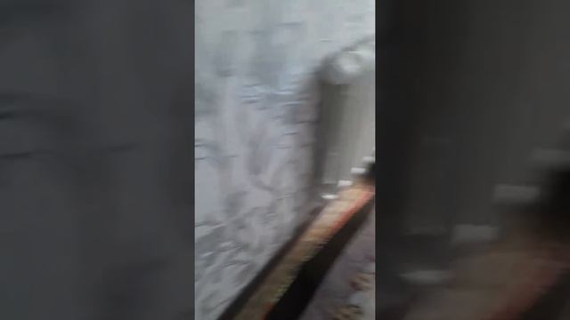 Говорю то что нам купить Дневники из Гравити Фолз смотреть онлайн