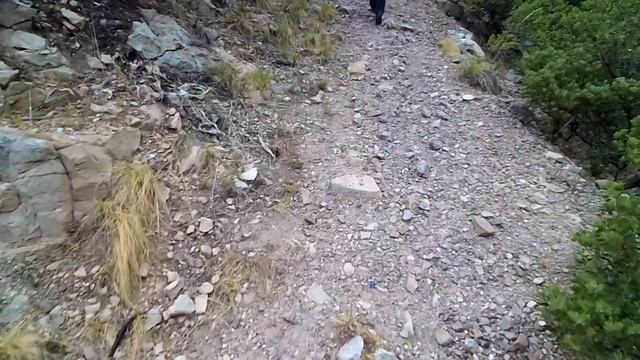 Honda CRF300Ls Carr Canyon Arizona Mountains Dual Sport Motorcycles #crf300l