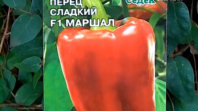 Изучаем победоносную серию перцев "полководцев". Удачные заметки смотреть онлайн