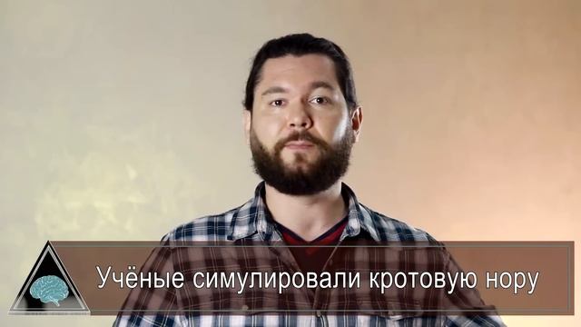 Кротовая нора на квантовом компьютере. Термометр для клетки. ГАМК и обучение. Новости QWERTY №239 смотреть онлайн
