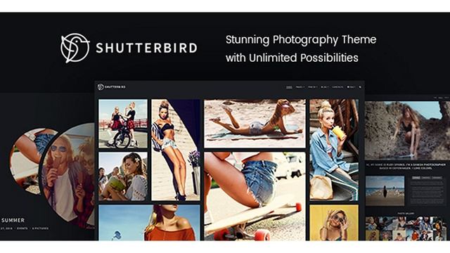 Photography WordPress Theme - Shutterbird Photography | Themeforest Website Templates and Themes смотреть онлайн