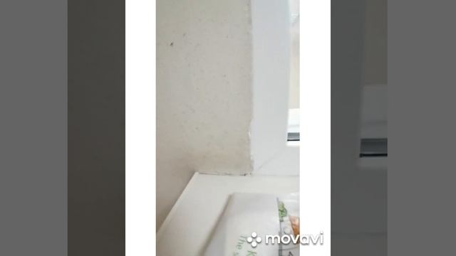 ходим по кабинетам, чтобы приняли заявление по административному делу. смотреть онлайн