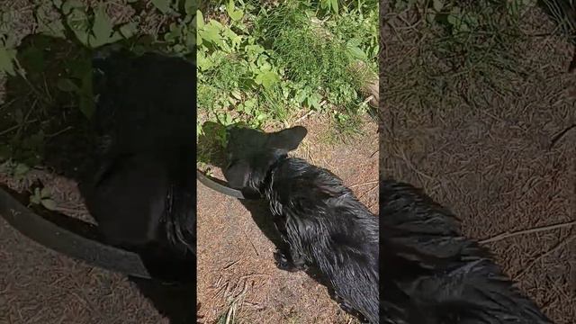 Карелия. Долина Водопадов! смотреть онлайн