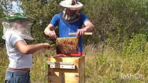 улей ВАРРЭ 2021