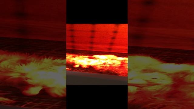 2023-03-14 смотреть онлайн