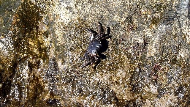 6.mkv смотреть онлайн