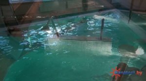 Санаторий Пралеска, Гродно - презентационный ролик, Санатории Беларуси