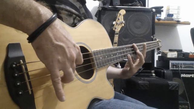 Jô Rago -Beatles 'Blackbird ' chords on Acoustic Bass Guitar смотреть онлайн