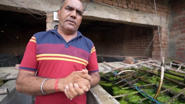 Real Pearl Farming in India??? смотреть онлайн